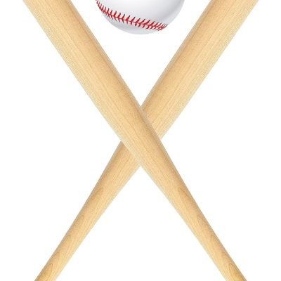 18 Inch 2 Pcs Mini Baseball Bats