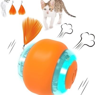 Motion Activated Cat Toy