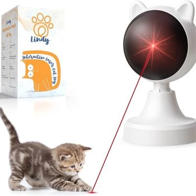 Interactive Laser Cat Toy